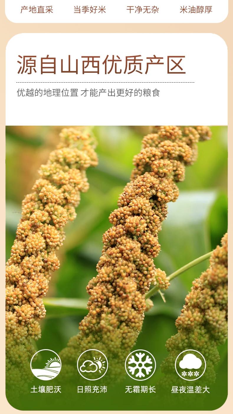 有机黄小米礼盒 - 13428874341488297.jpg